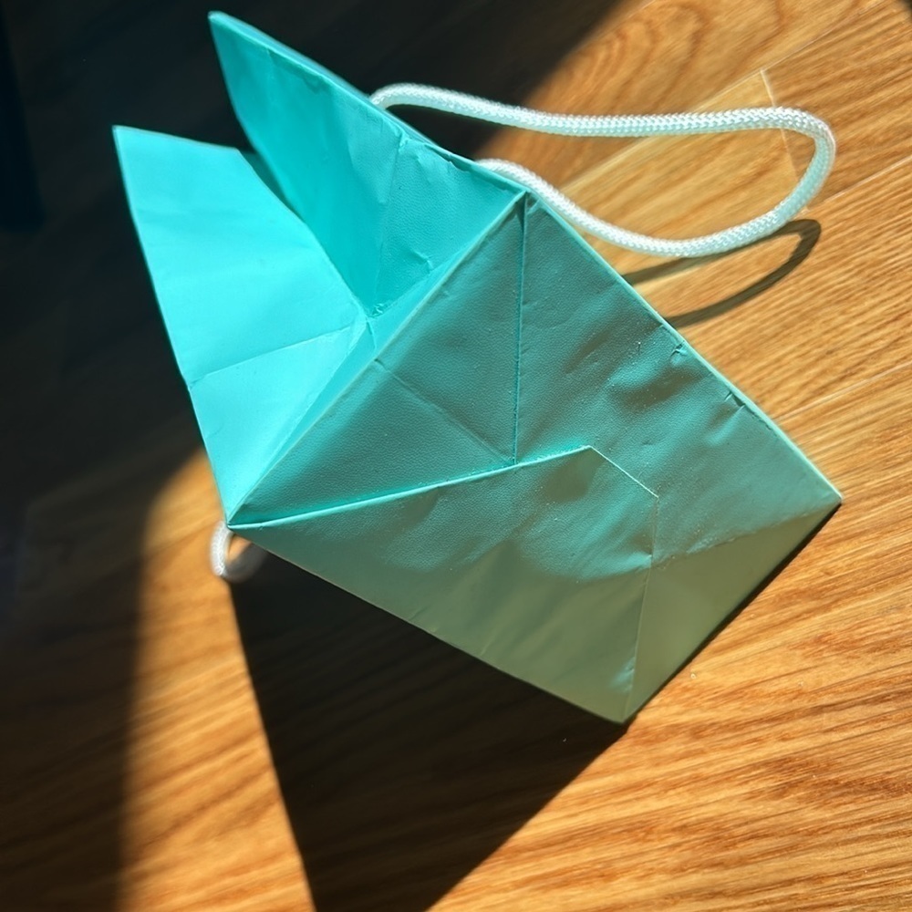 Tiffany and co rope handle merch bag / Tiffany blue and white handle - Picture 5 of 8